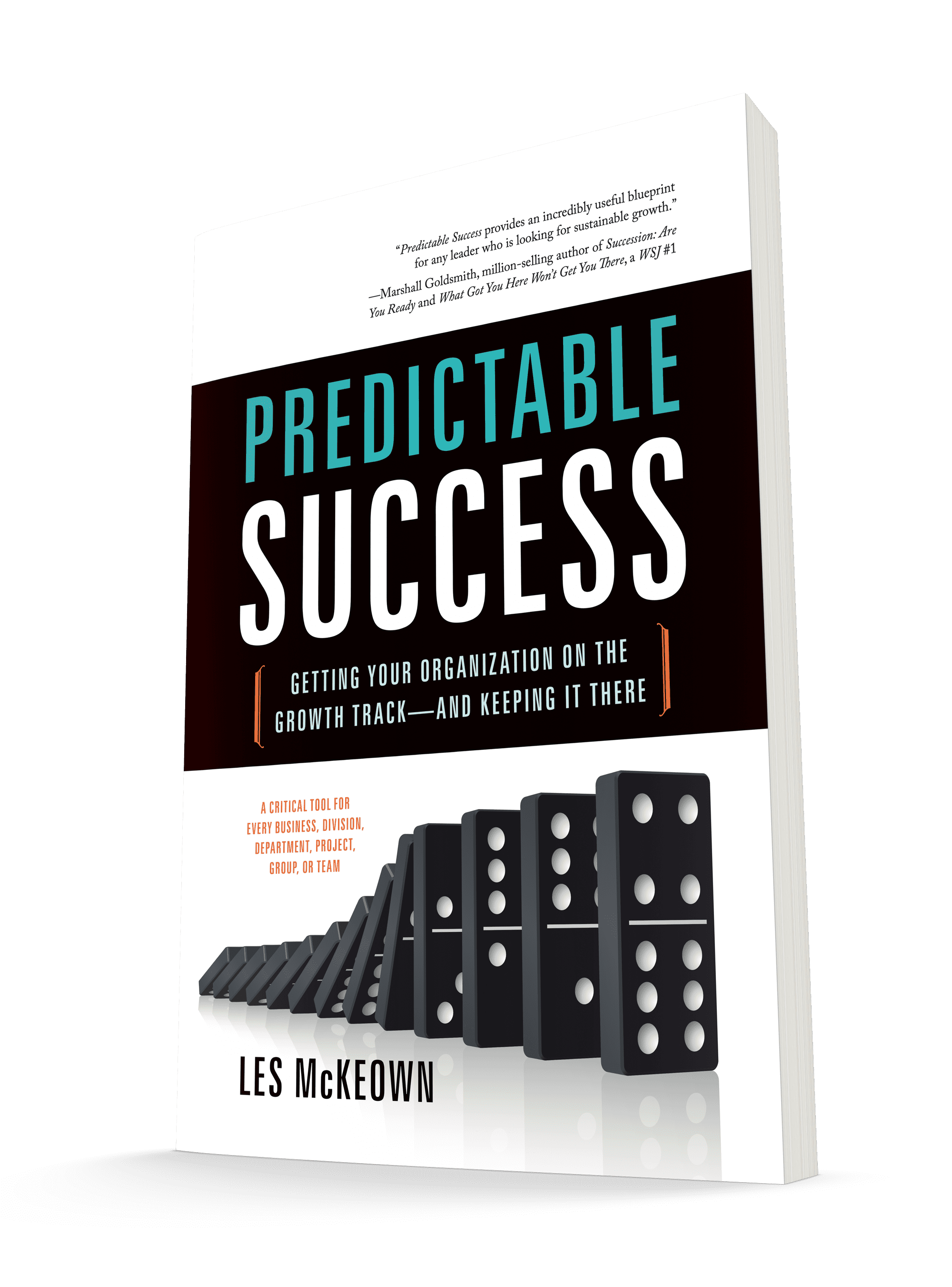 download-the-first-chapter-of-predictable-success-for-free-scale